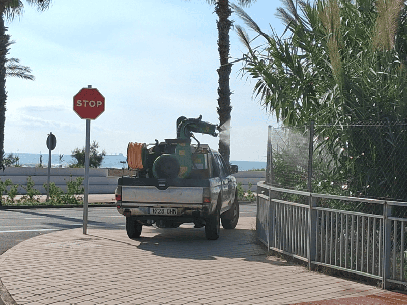 Castellón activa un plan extraordinario de control del mosquito tras las últimas lluvias con especial atención a las zonas de acumulación de agua