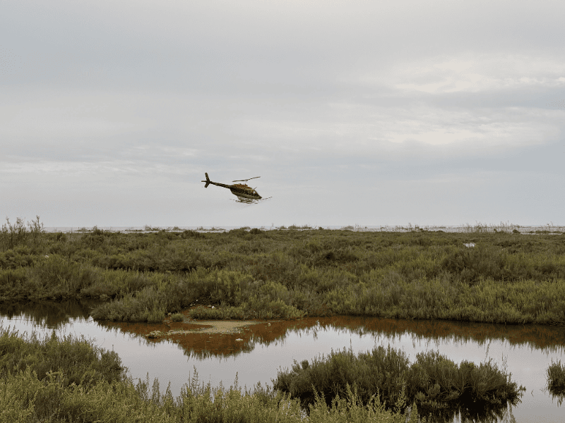 La Diputación de Castellón intensifica los tratamientos contra los mosquitos por vía aérea y terrestre