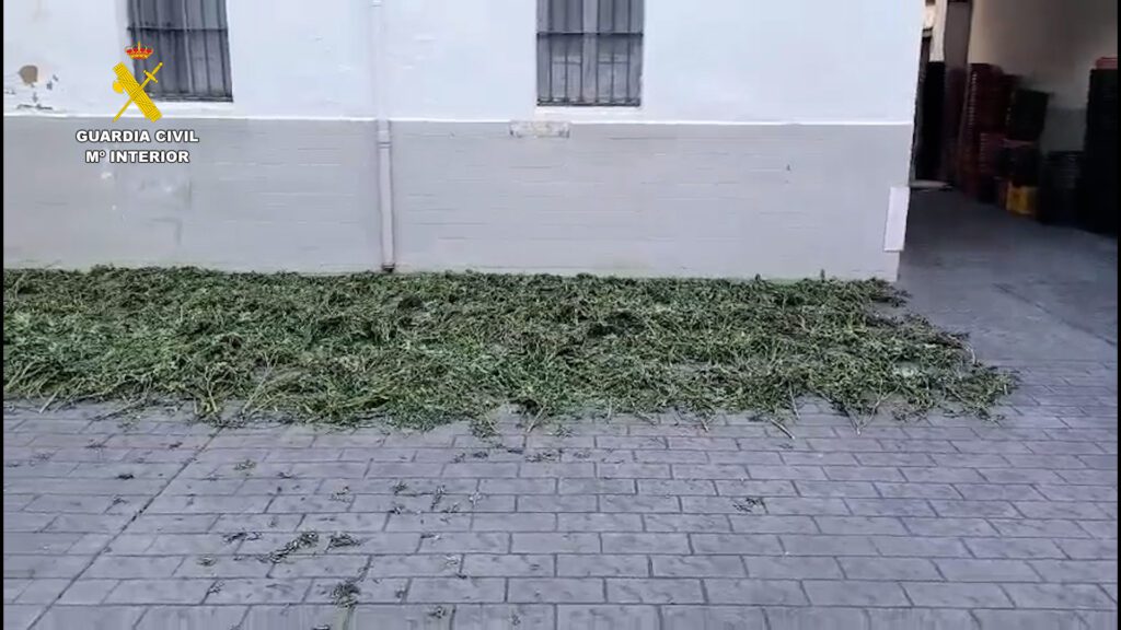 La Guardia Civil desarticula en Almazora un grupo criminal dedicado al tráfico de drogas – foto 4
